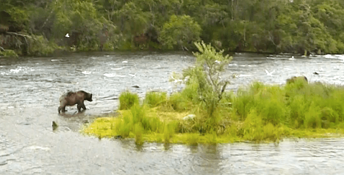 Screen Shot 2016-10-14 at 10.49.25 AM.png