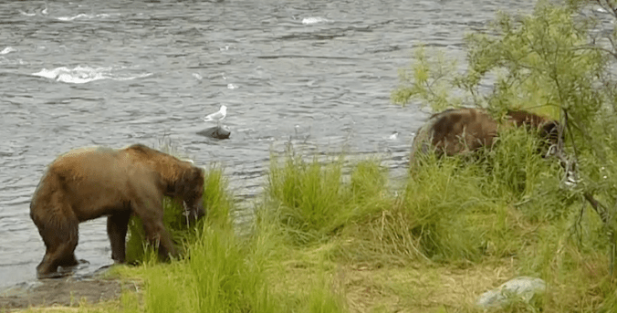 Screen Shot 2016-10-14 at 10.50.10 AM.png