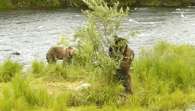 Screen Shot 2016-10-14 at 10.53.28 AM.png