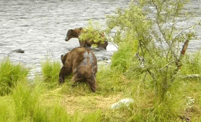 Screen Shot 2016-10-14 at 10.53.59 AM.png