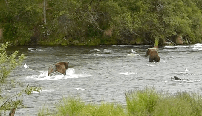 Screen Shot 2016-10-14 at 10.54.21 AM.png