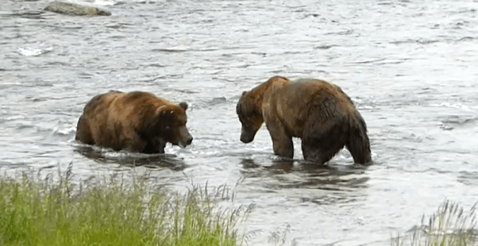 Screen Shot 2016-10-14 at 10.55.34 AM.png