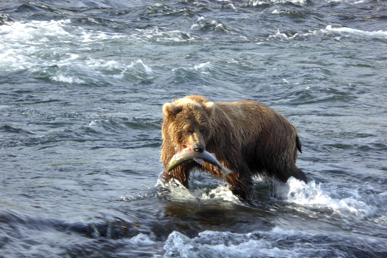 505-with-fish-07072016