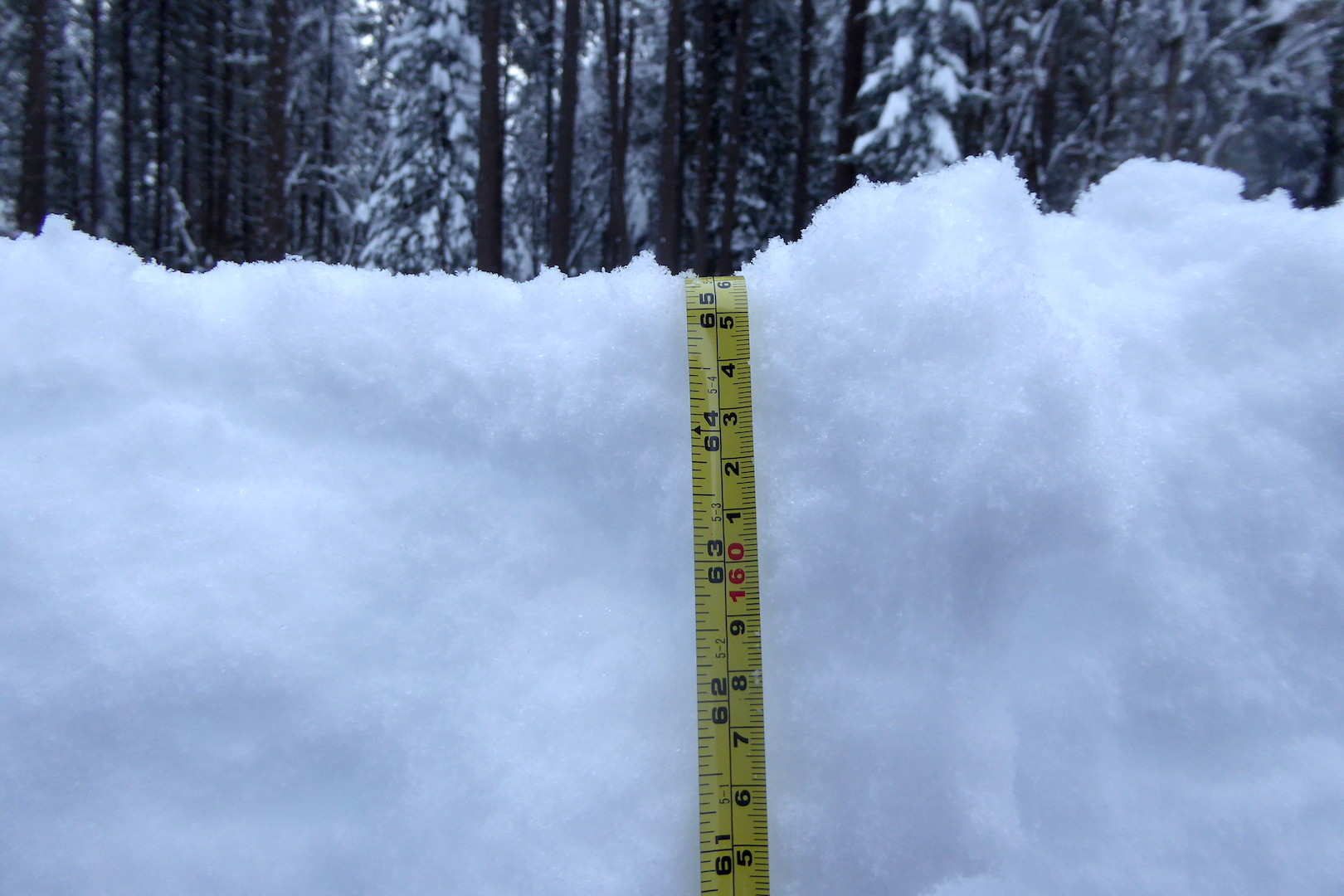measuring tape in snow. Numbers at top of snow level read 65 inches or 166 centimeters.