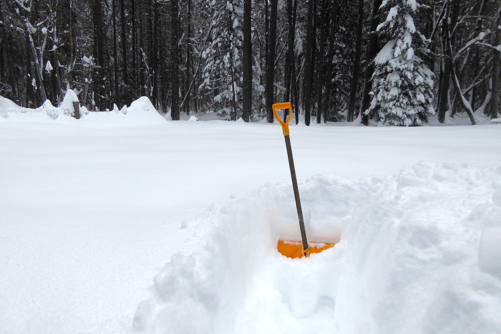 snow shovel in deep snow