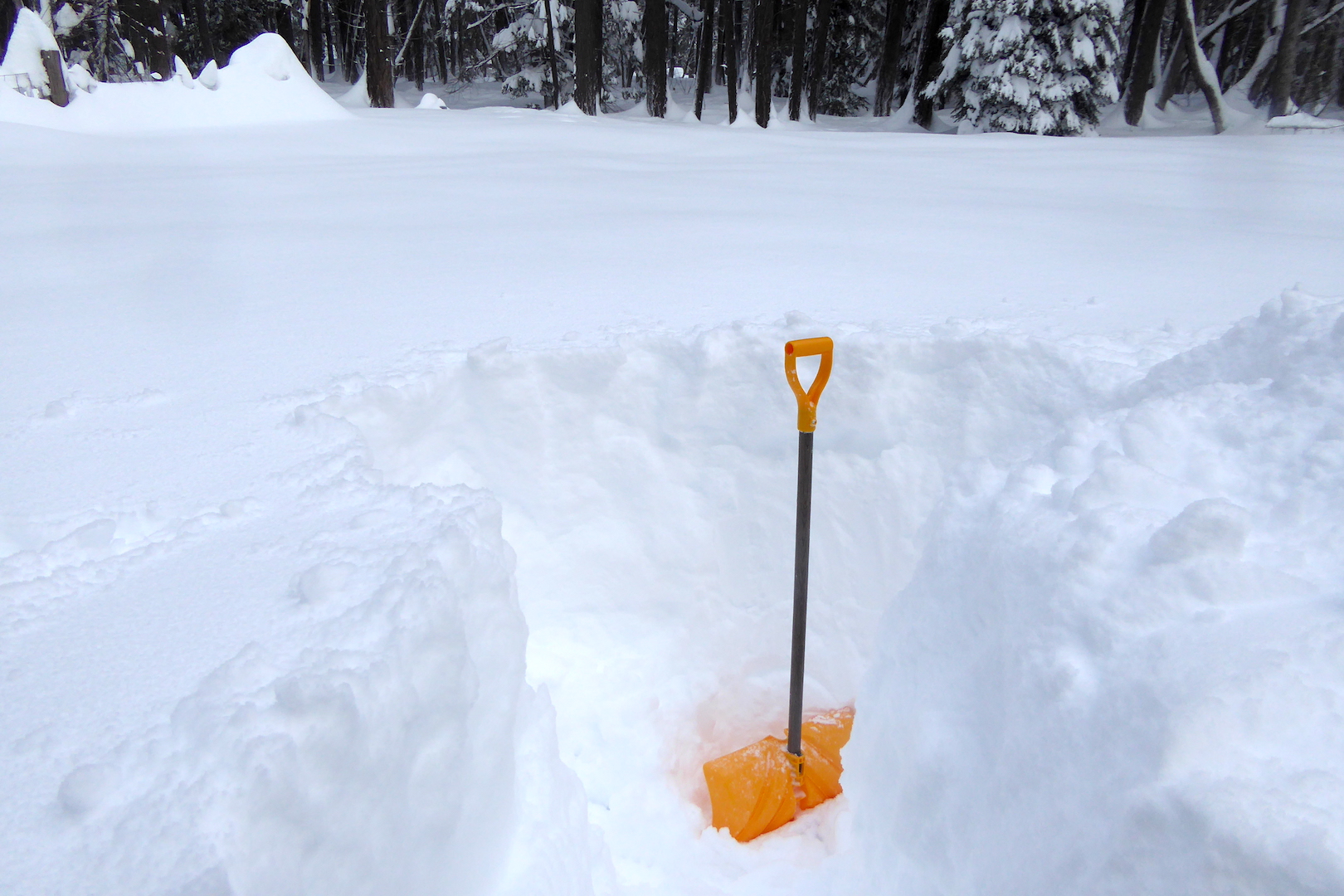 snow shovel in deep snow