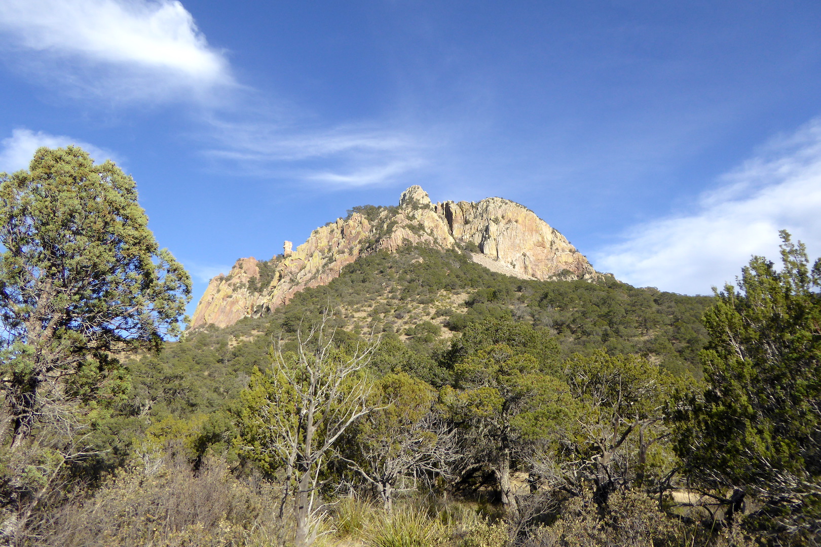 Mountain rising above pine and juniper forest