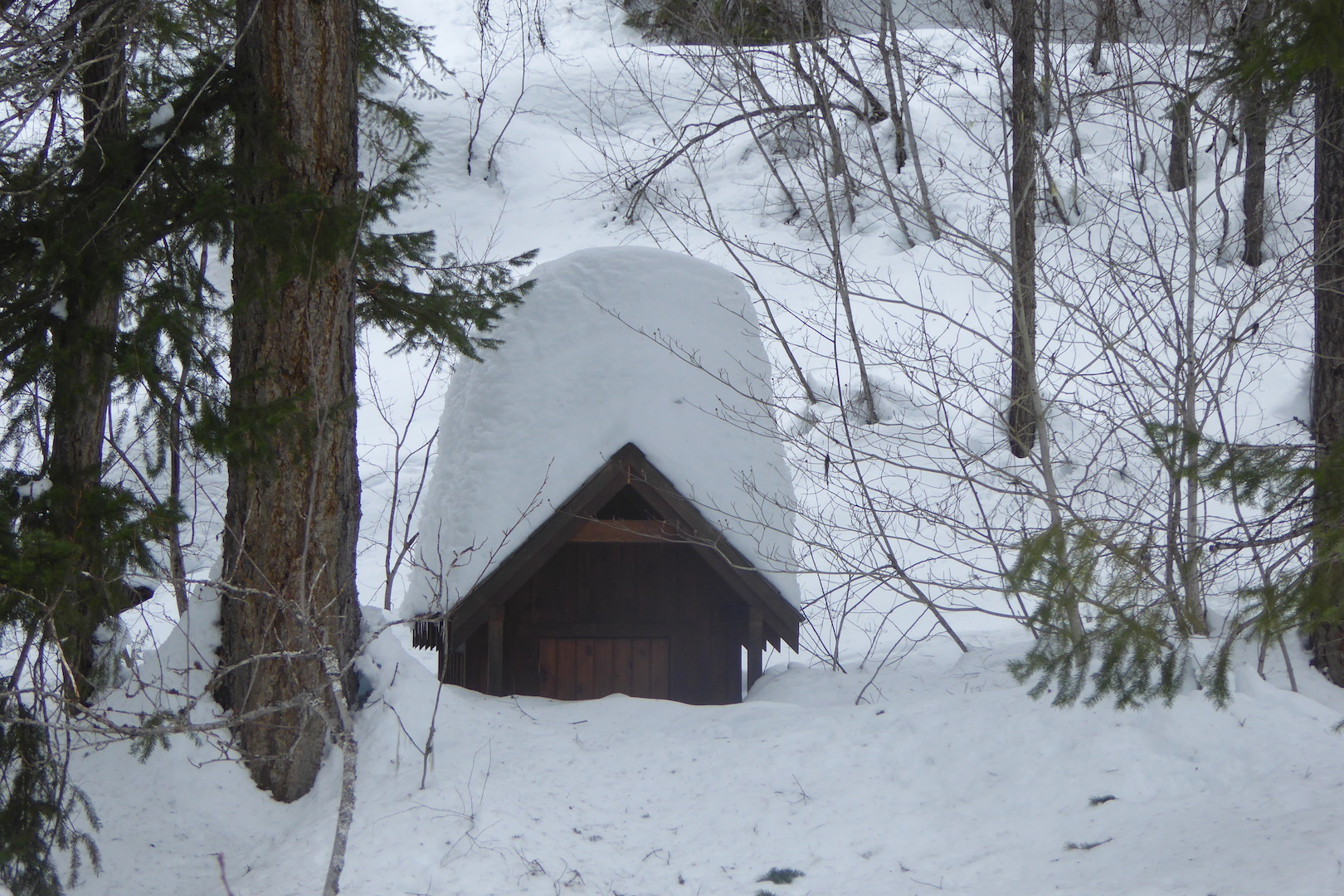outhouse buried in snow