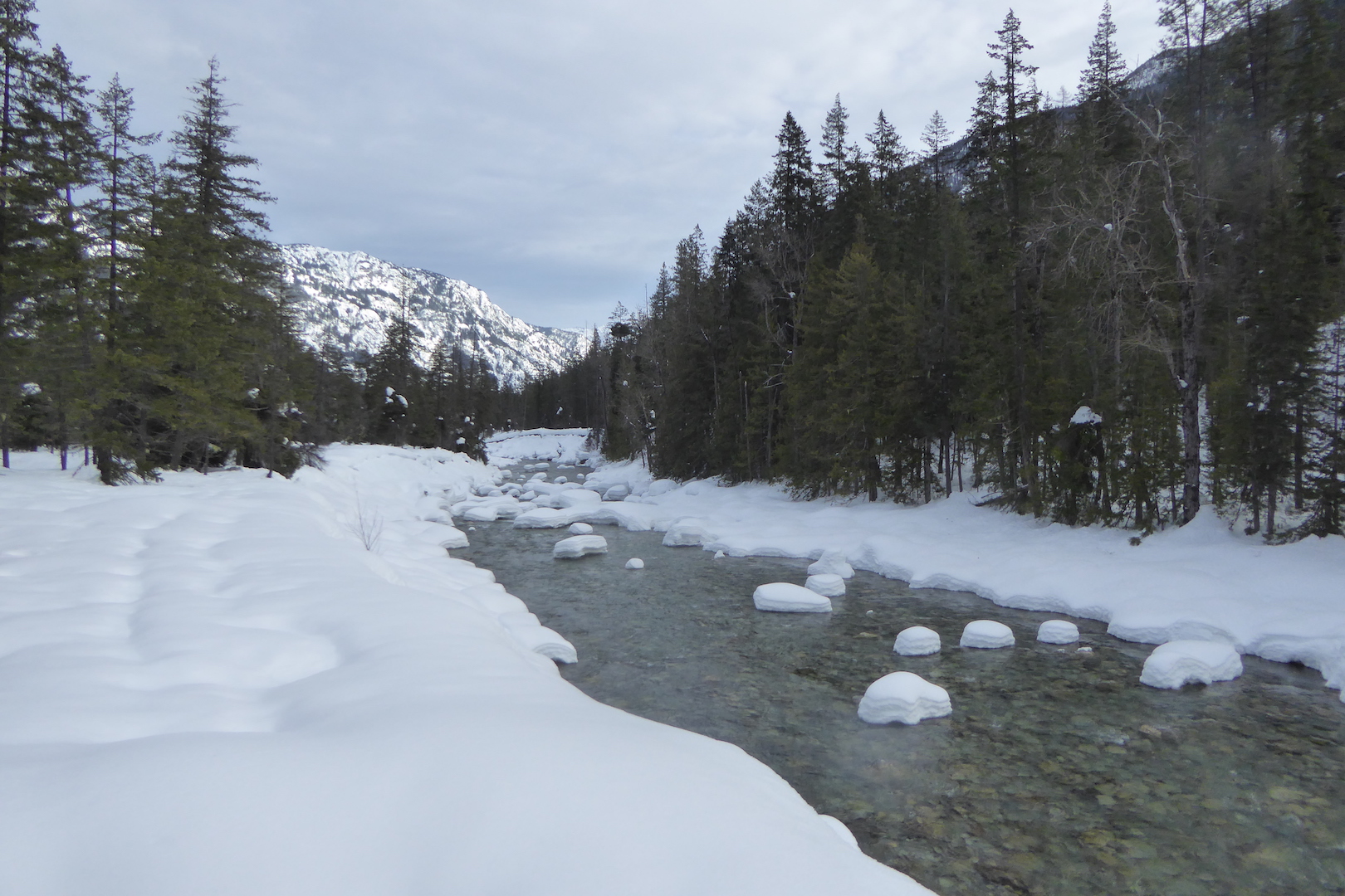 River running through snowy forest.