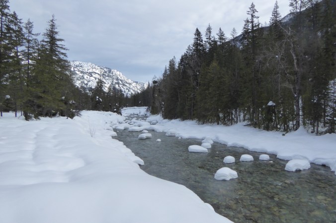 River running through snowy forest.