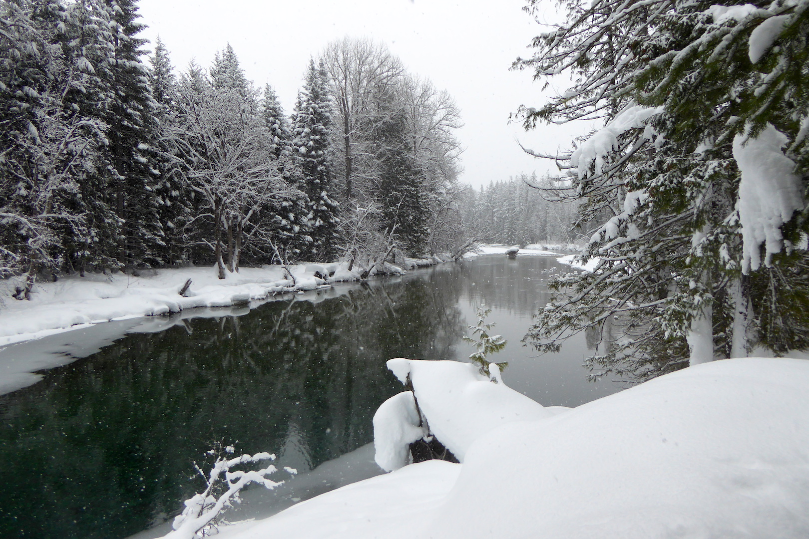 River and snow covered trees