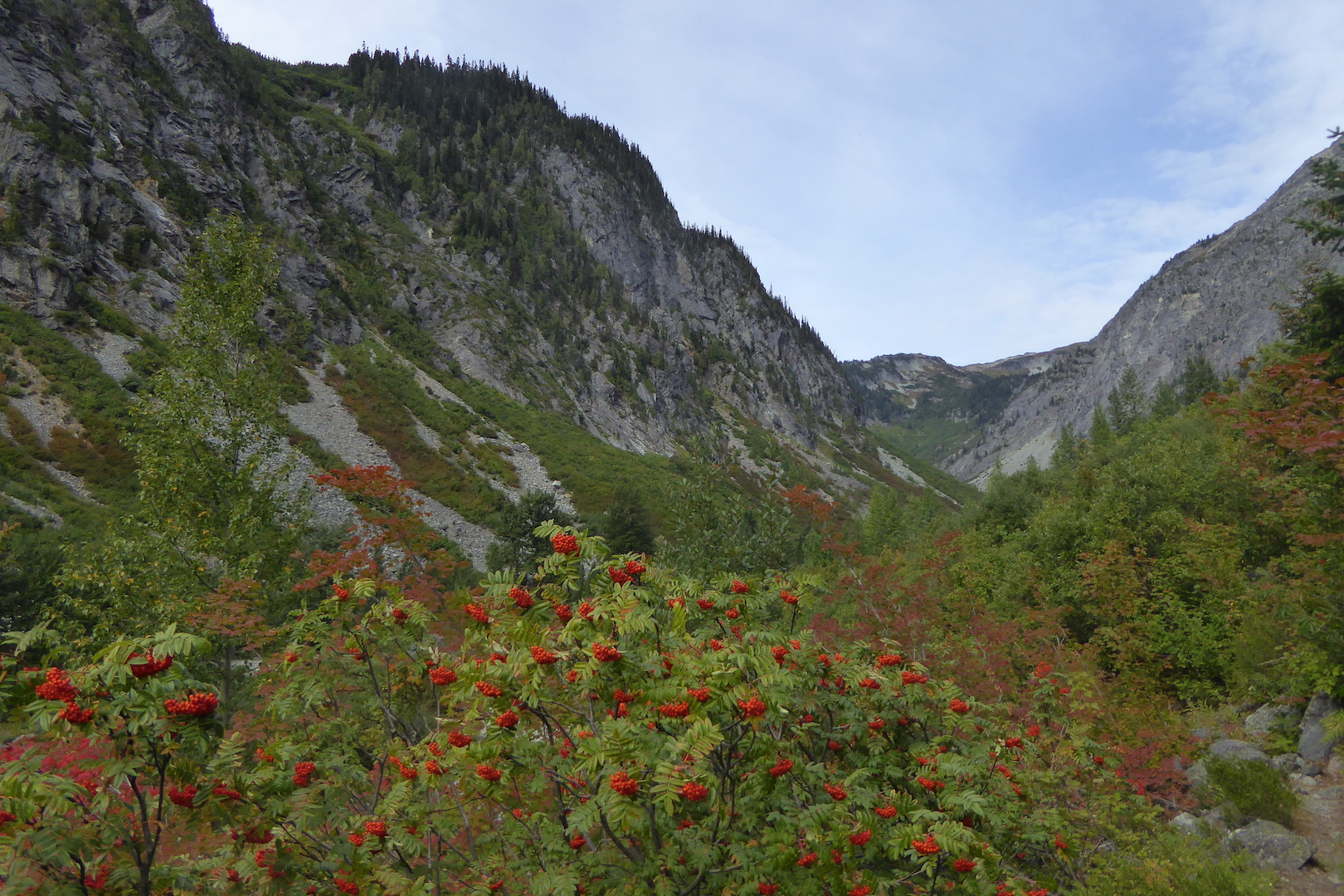 Mountain valley scene. Steep walled mountains with red-berried shrub in foreground.