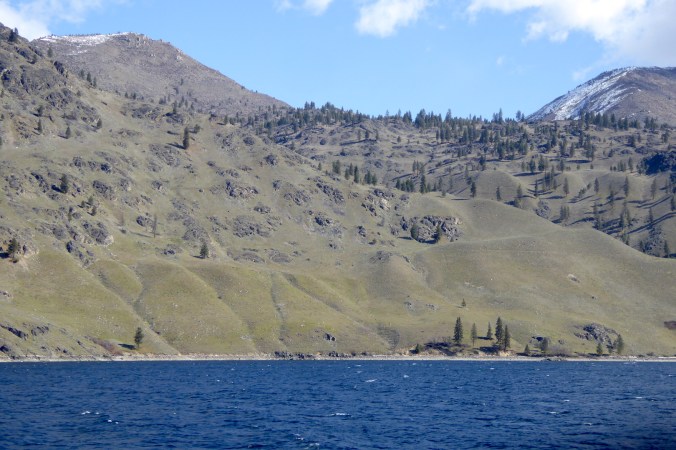 Mountain slopes with few trees above lake