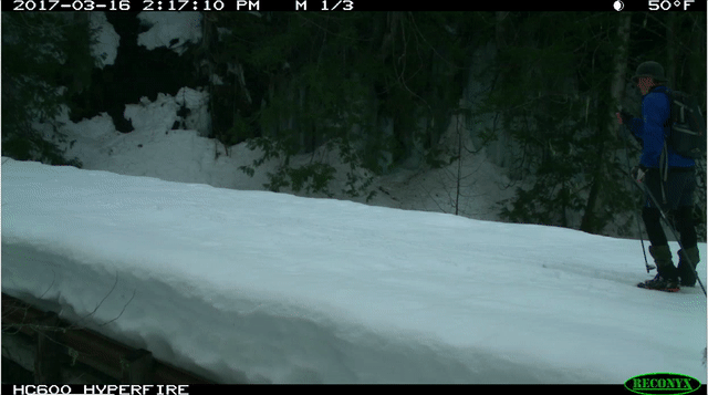 GIF of person skiing across bridge