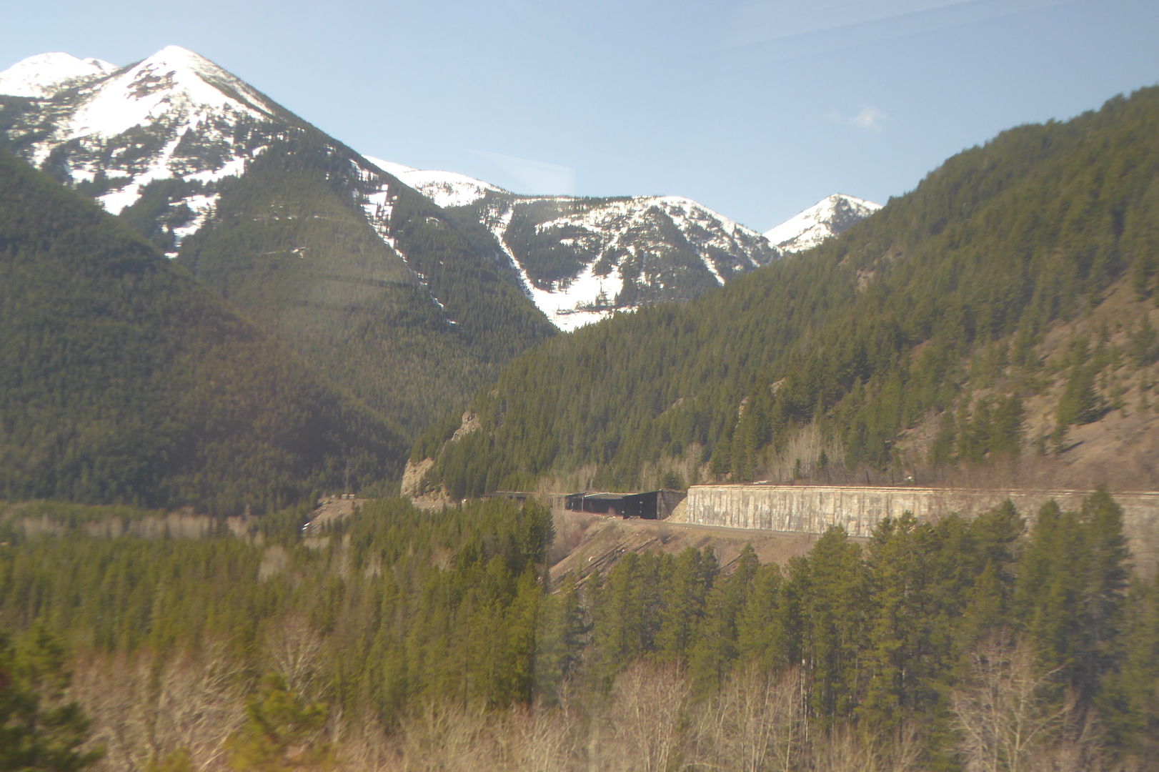 view of forested mountains