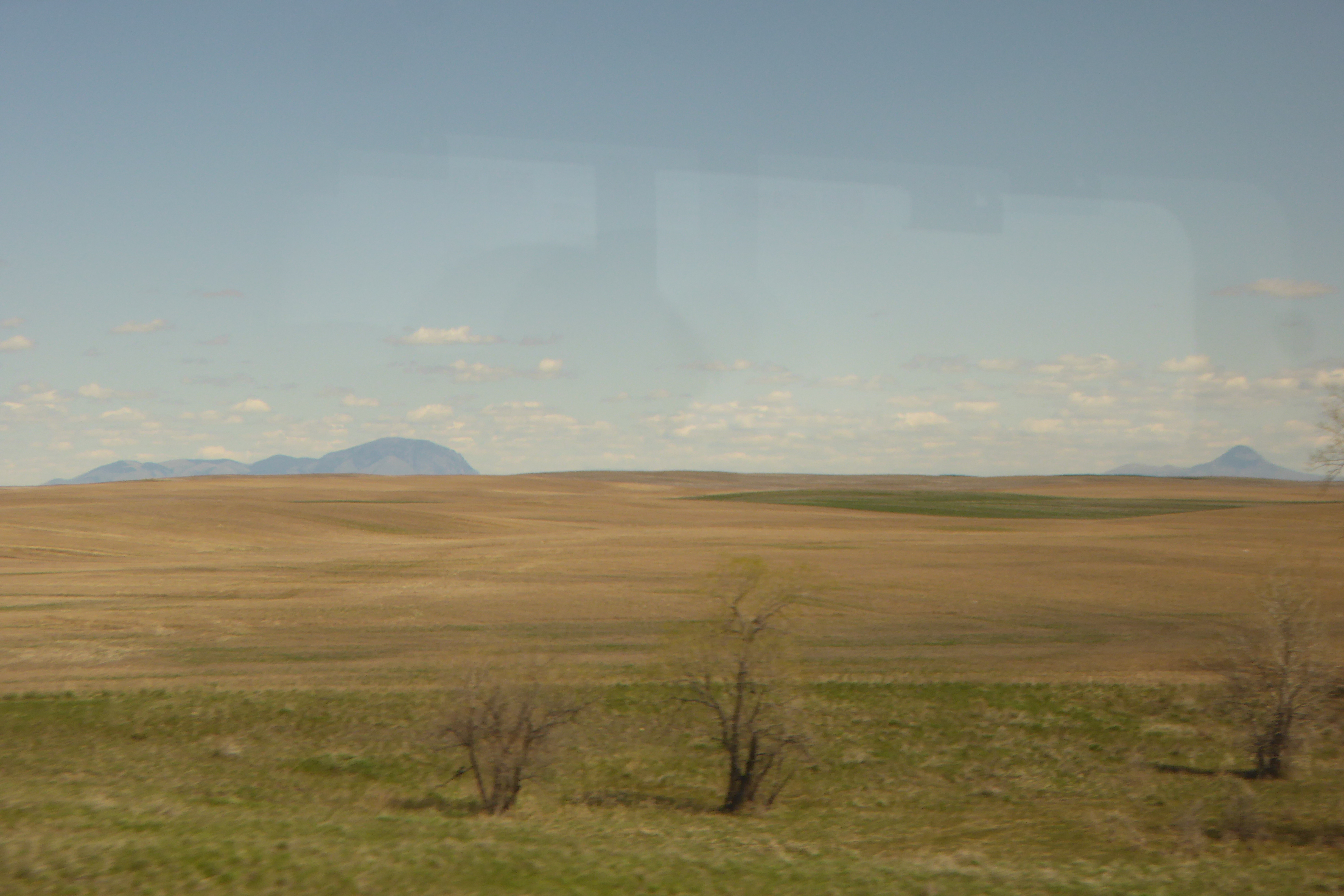 prairie and wheat fields across north central Montana