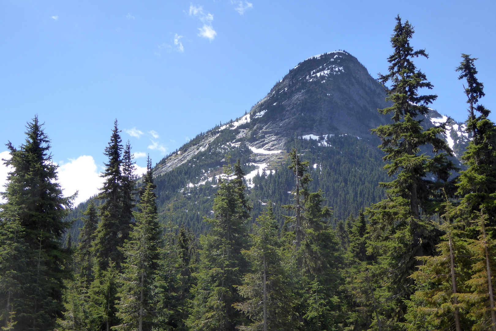 view of mountain peak and conifer trees