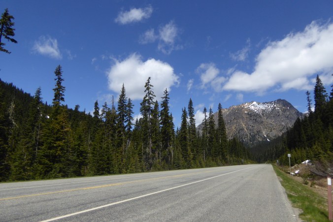 view of road surrounded by coniferous trees and mountain in background