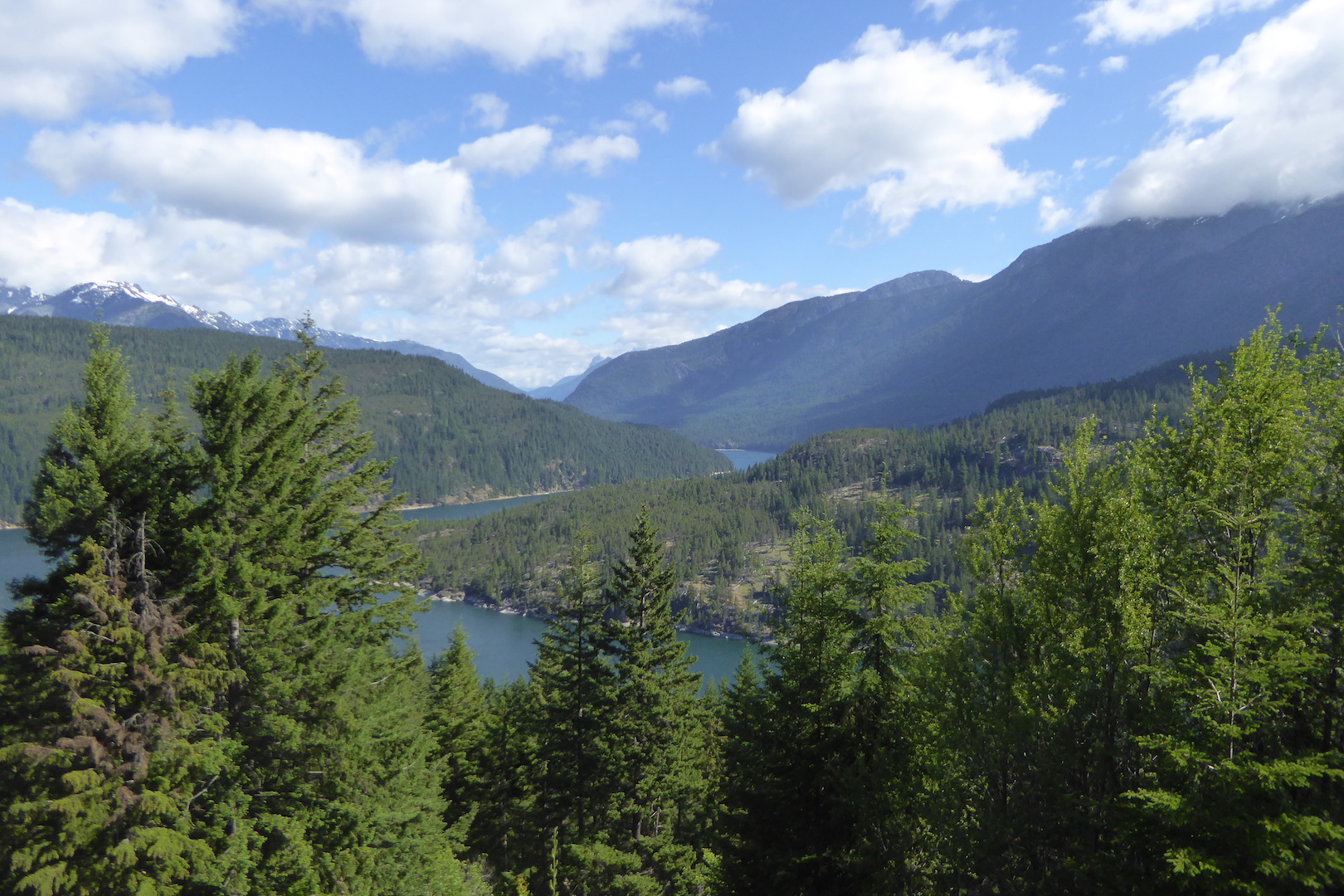 view of mountains and lake with coniferous trees in foreground