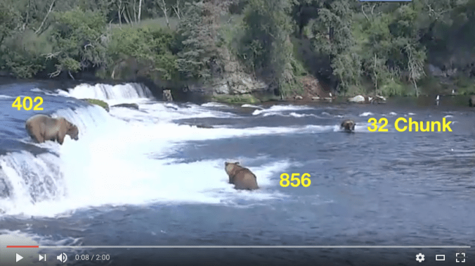 Screen shot from video. Three bears near a waterfall. Text reads "402," "856," and "32 Chunk."