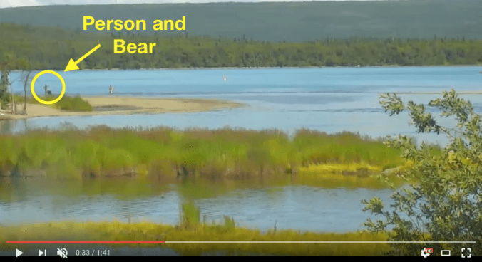 Screen shot of bear and person near each other. Text reads "Person and bear." The person and bear are in the yellow circle.