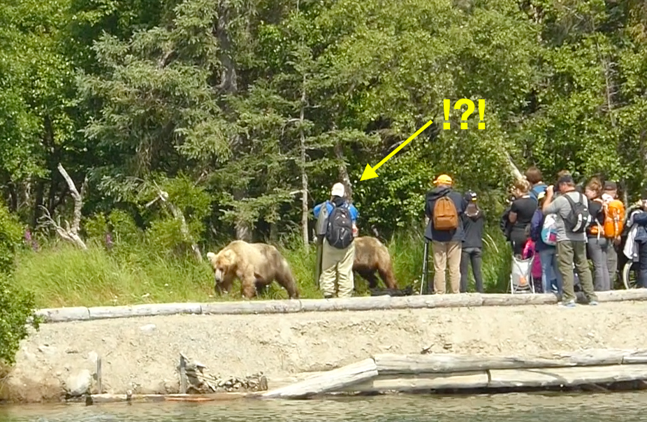 Bear near group of people. Arrow pointing towards person who is separate from group.