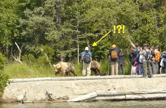 Bear near group of people. Arrow pointing towards person who is separate from group.