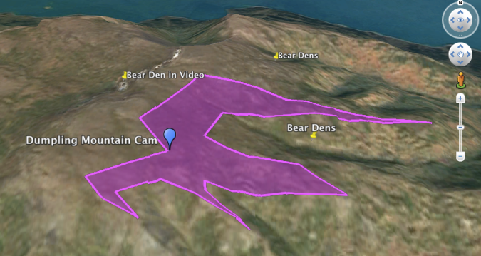 Screen shot from Google Earth. Purple polygon is viewshed of Dumpling Mountain Cam. Text reads: "Dumpling Mountain Cam" "Bear Dens" "Bear Dens" "Bear Den in Video"