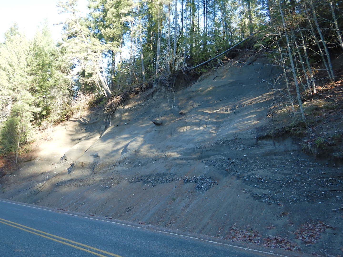 view of road cut