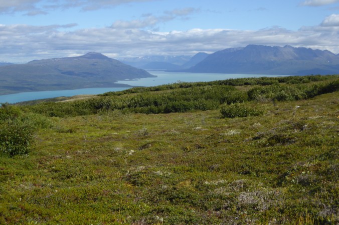view of tundra and shrubs with mountains and lake in background