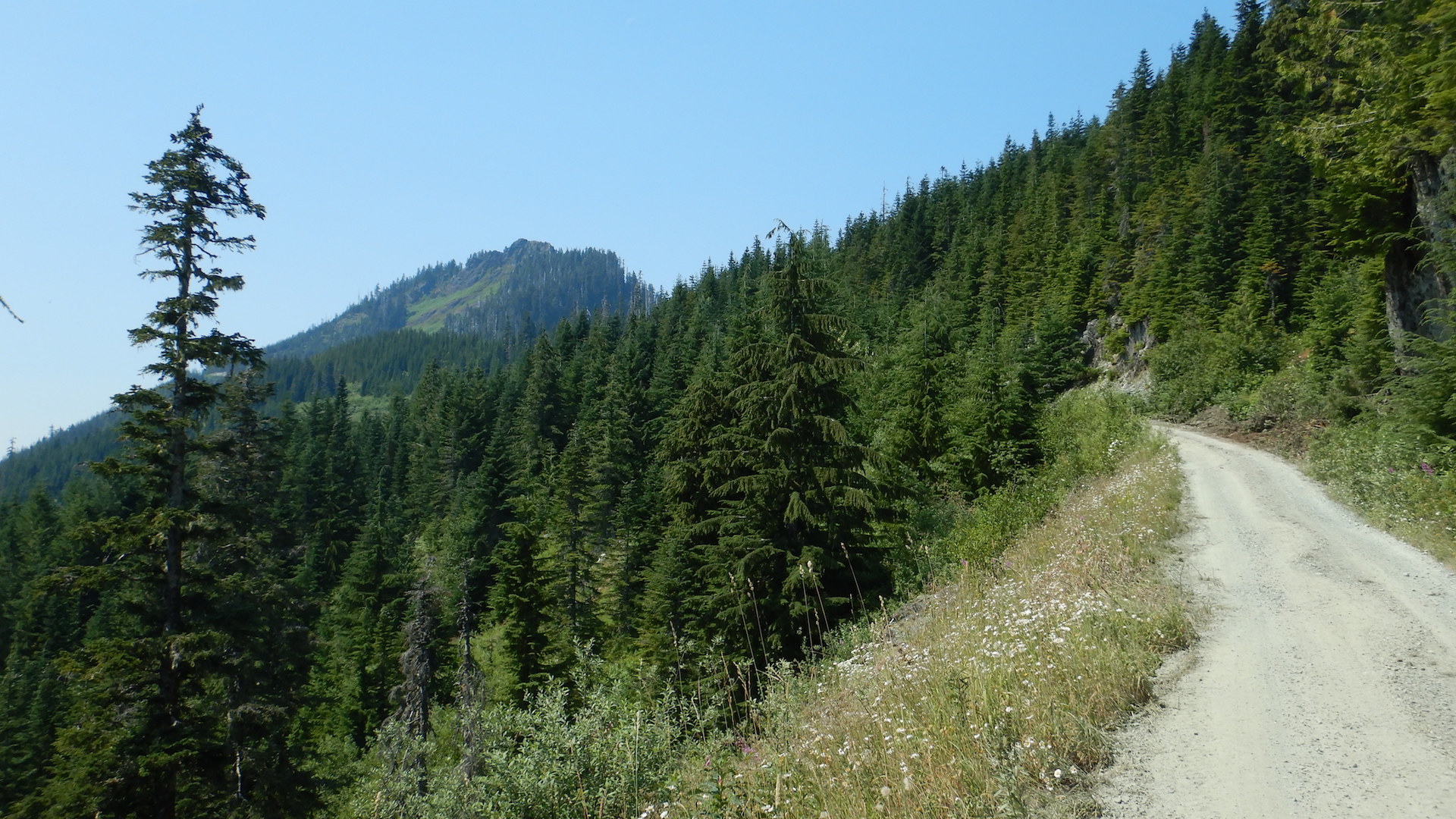 dirt road leading toward mountain peak