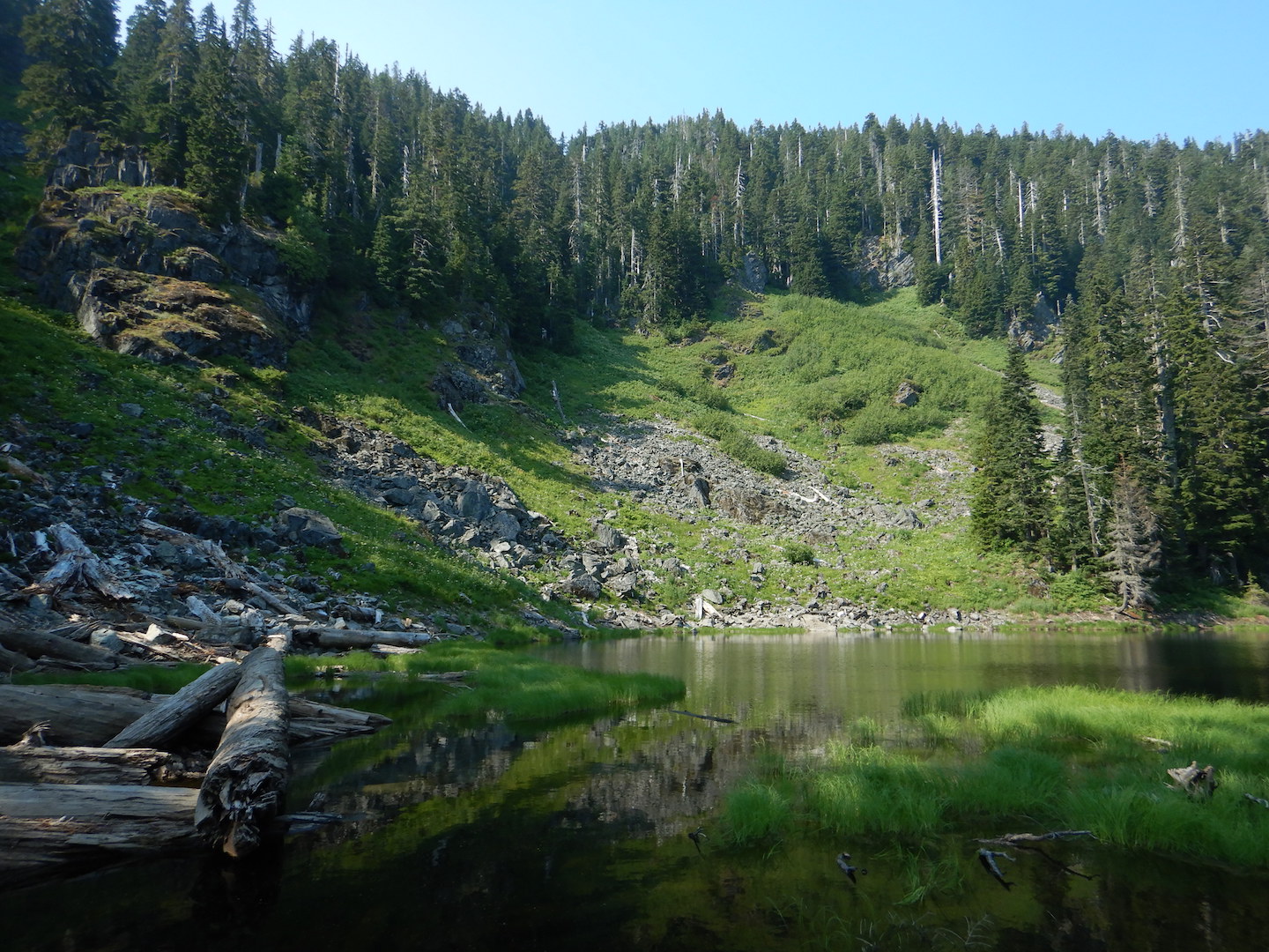view of alpine lake and basin