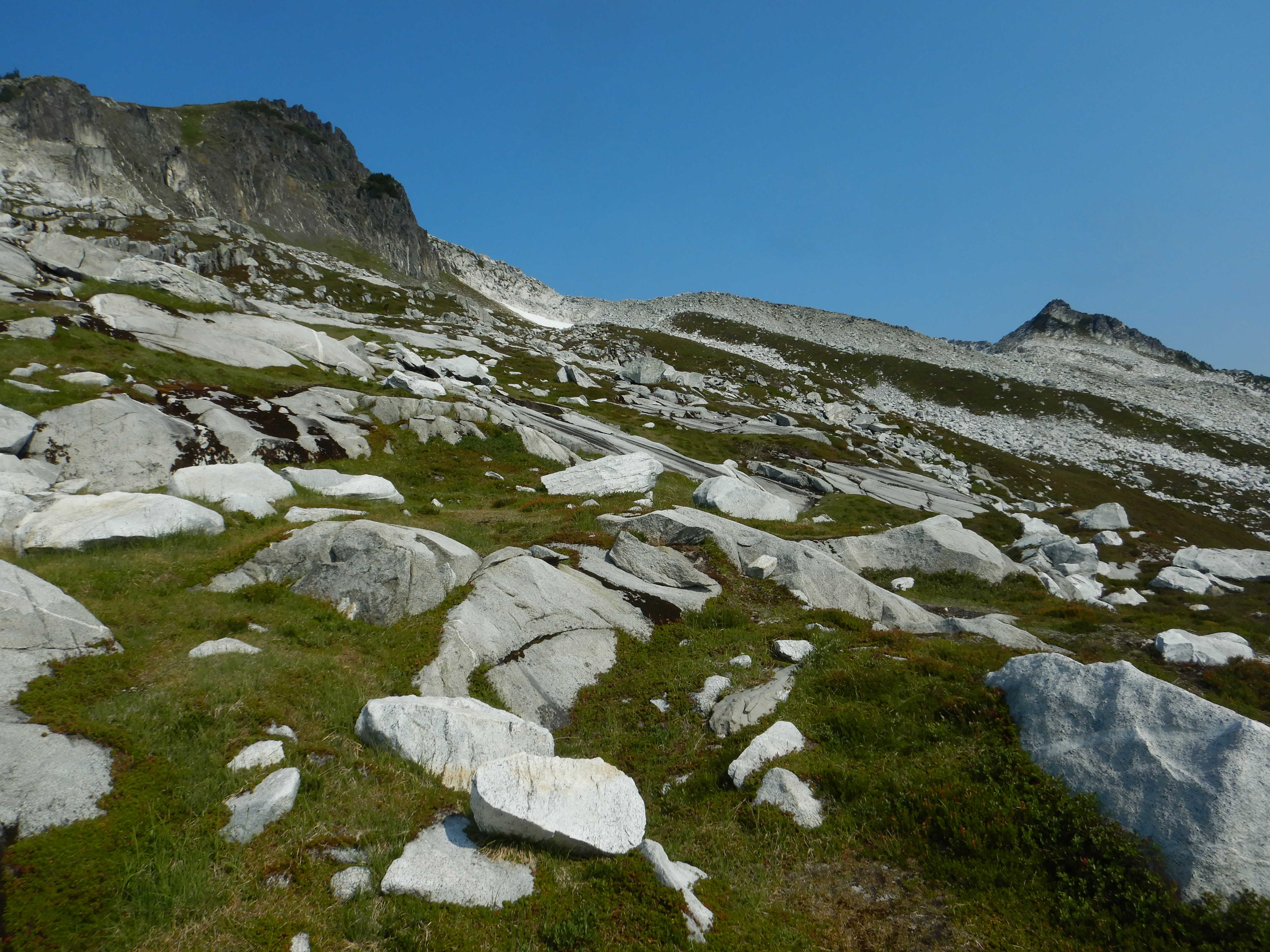meadow and boulder field looking up to a mountain ridge