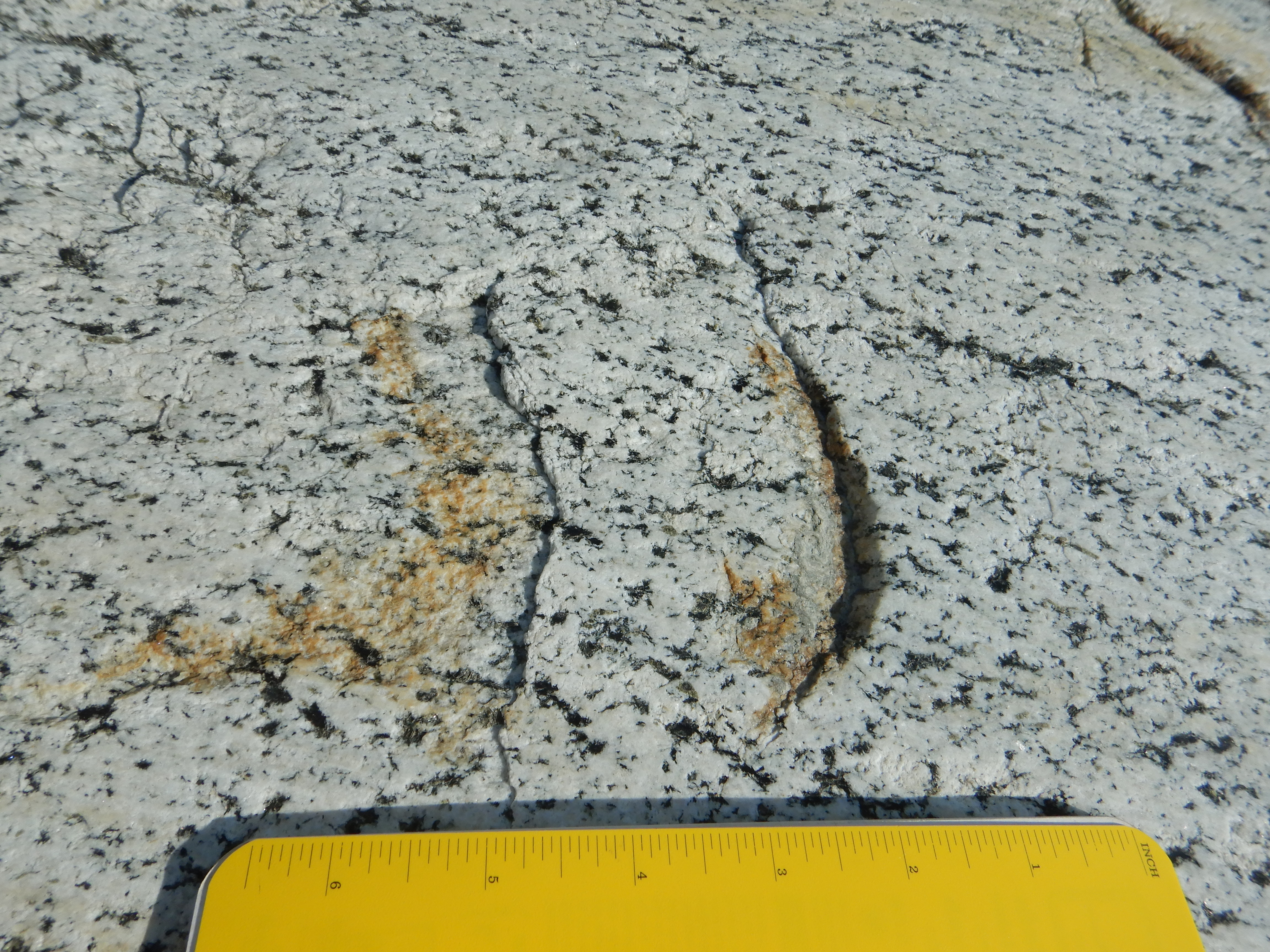 concentric gouges in metamorphic rock