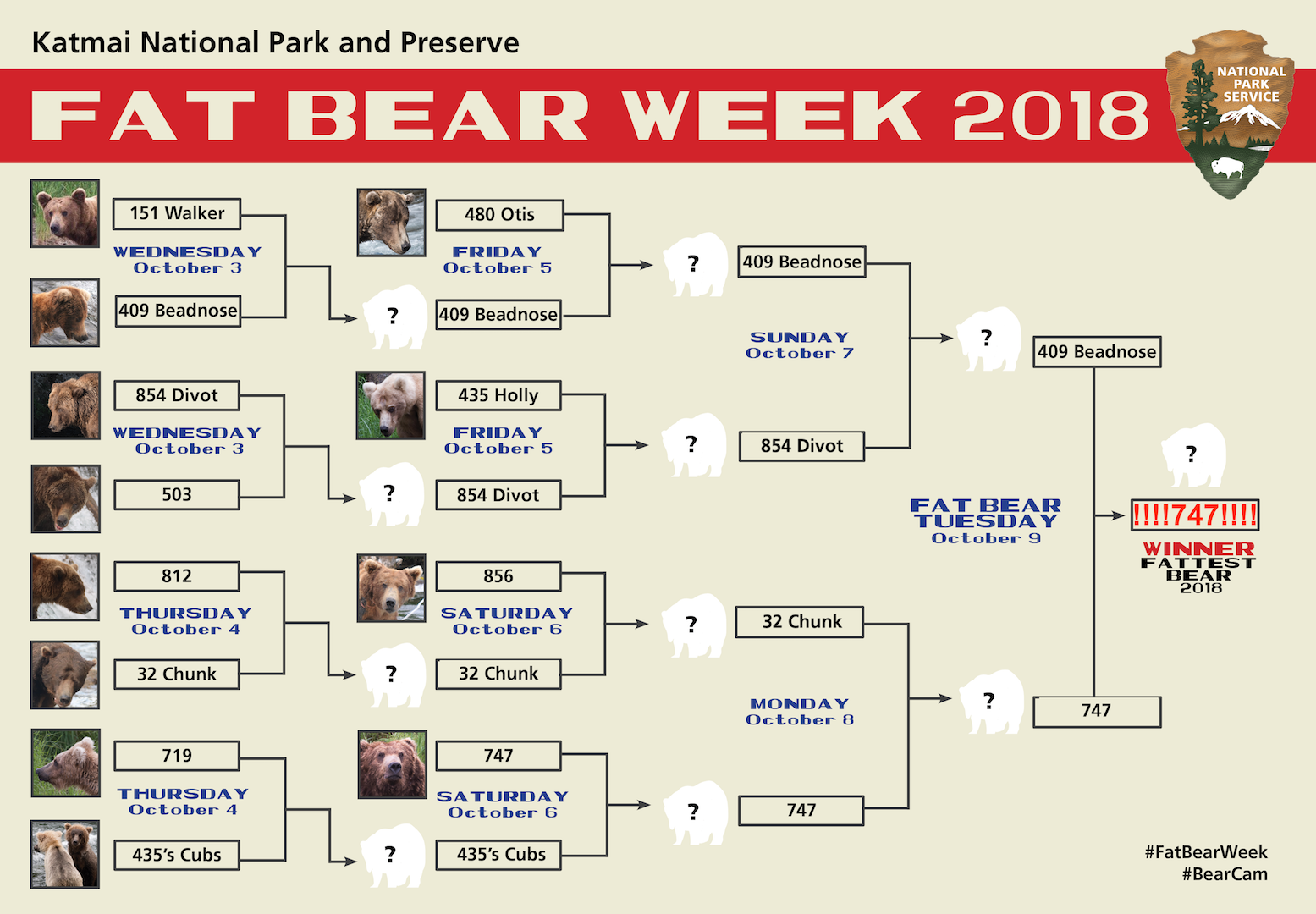 Katmai Fat Bear Week Bracket 2018 Fitz choices.png