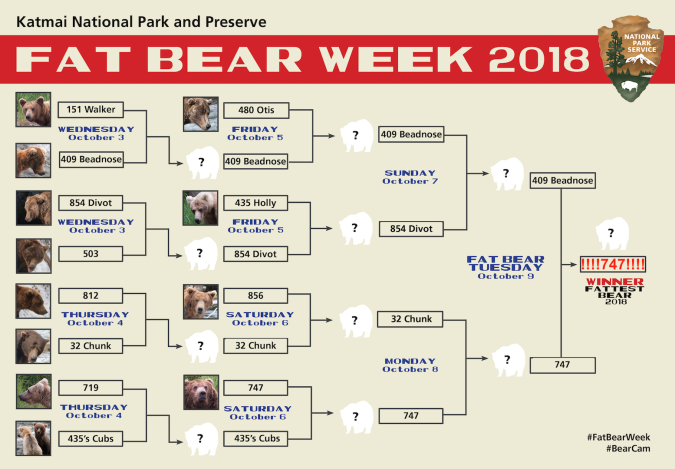 Katmai Fat Bear Week Bracket 2018 Fitz choices.png