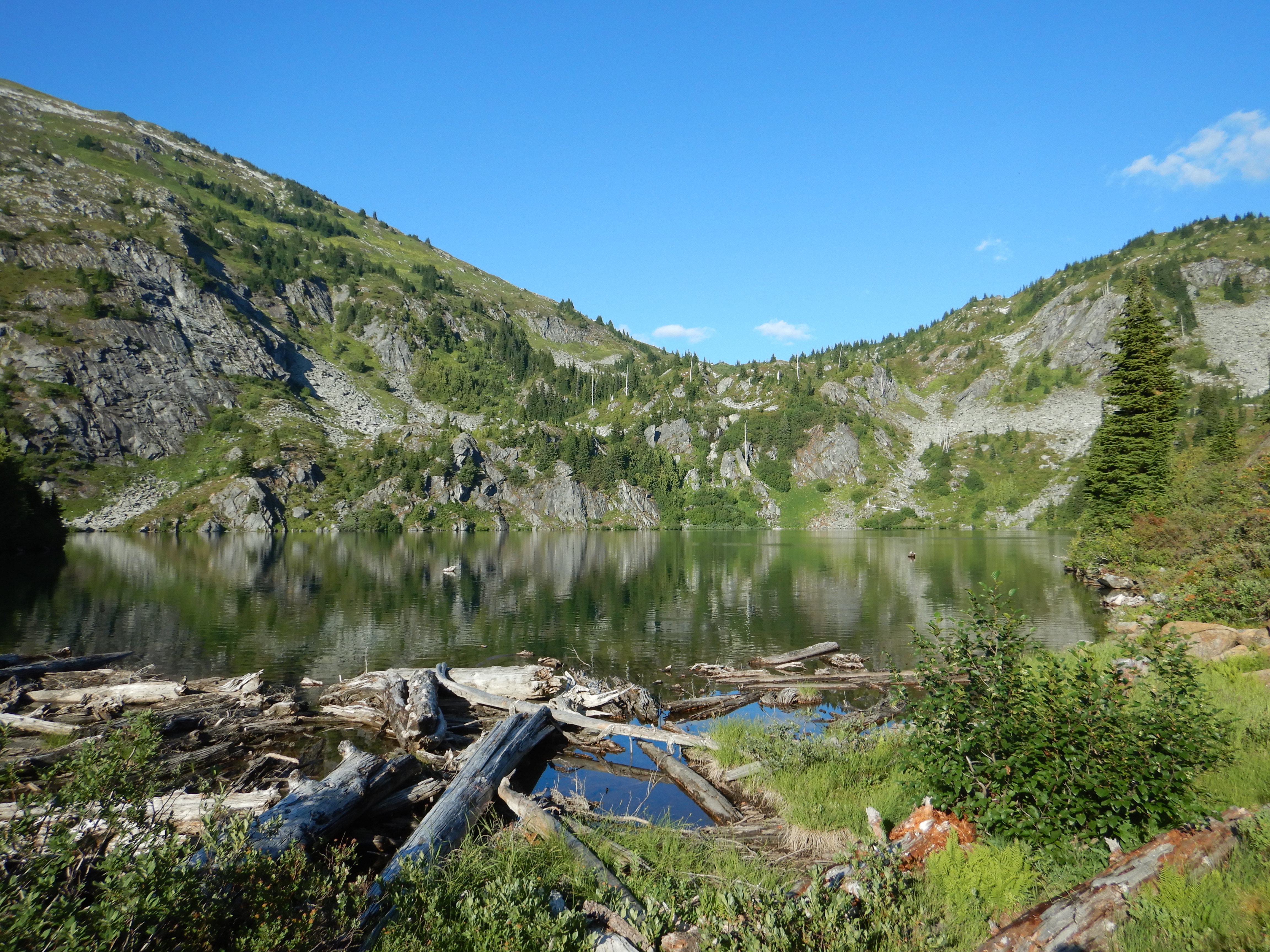 small lake surrounded by meadows and mountains