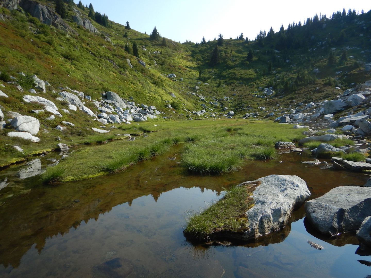 sedge meadow and small pond in mountain basin