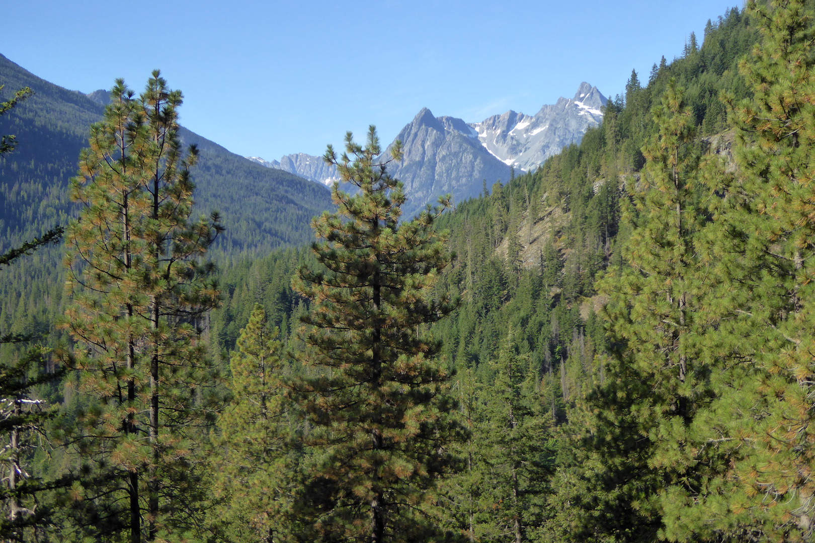 view of forested valley with tall craggy mountains on horizon