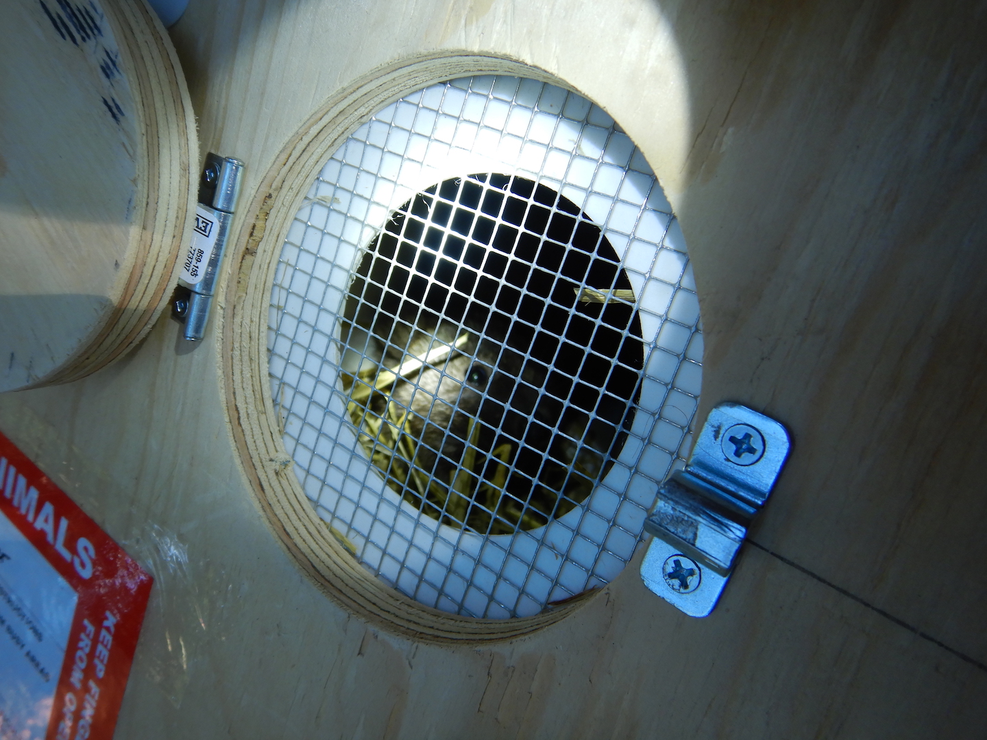 view through screened hole of fisher in a box