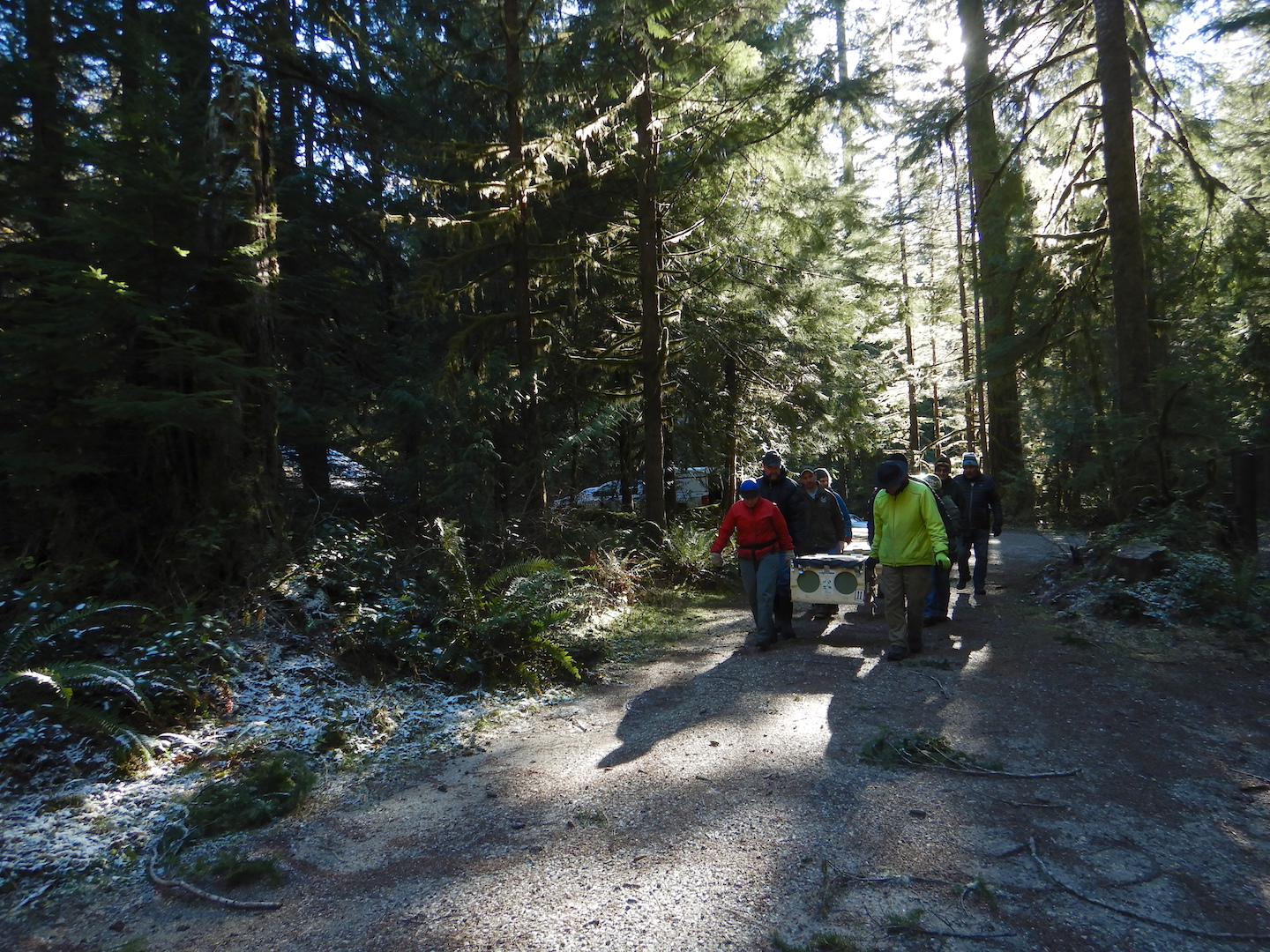people carrying wooden crates on forested path