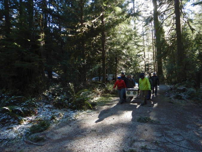 people carrying wooden crates on forested path