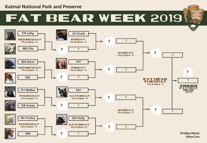 Fat Bear Week 2019 Bracket.jpg