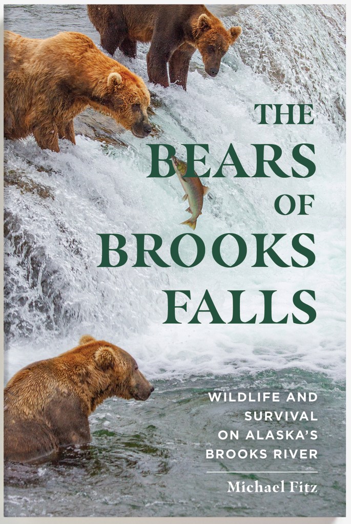 Book Cover. Background image shows three bears at edge of waterfall while one salmon jumps out of the water. Text is "The Bears of Brooks Falls: Wildlife and Survival on Alaska's Brooks River; Michael Fitz"