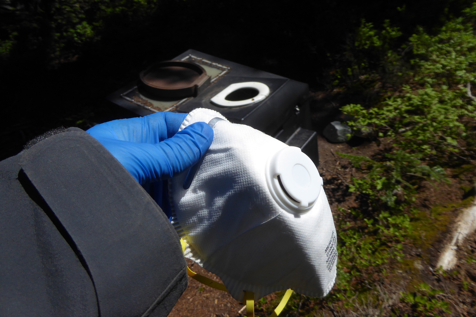 N95 mask held by hand in latex glove