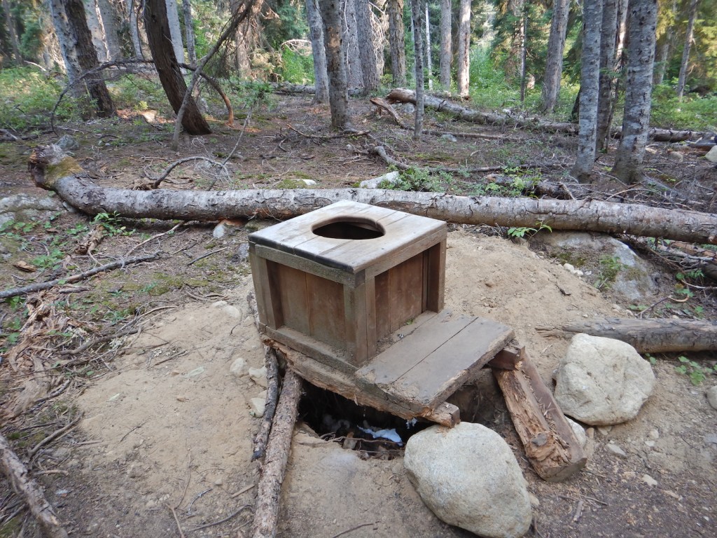 A toilet box in a forest.