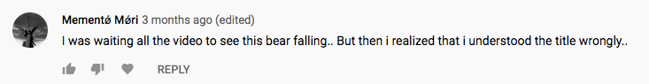 Screen shot of comment on YouTube video. Text reads, "Mementø Møri 3 months ago (edited)
I was waiting all the video to see this bear falling.. But then I realized that I understood the title wrongly."