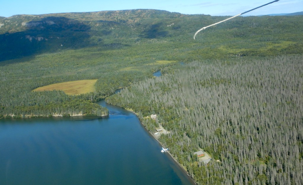 aerial photo of forests, lake, and river. Lake is at lower left. River begins at center is at lower left.