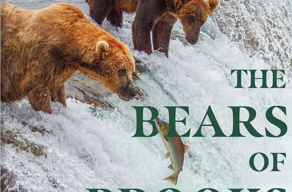 Screen shot of section of book cover. Bear stands on edge of waterfall at upper left. Text says, "The Bears of