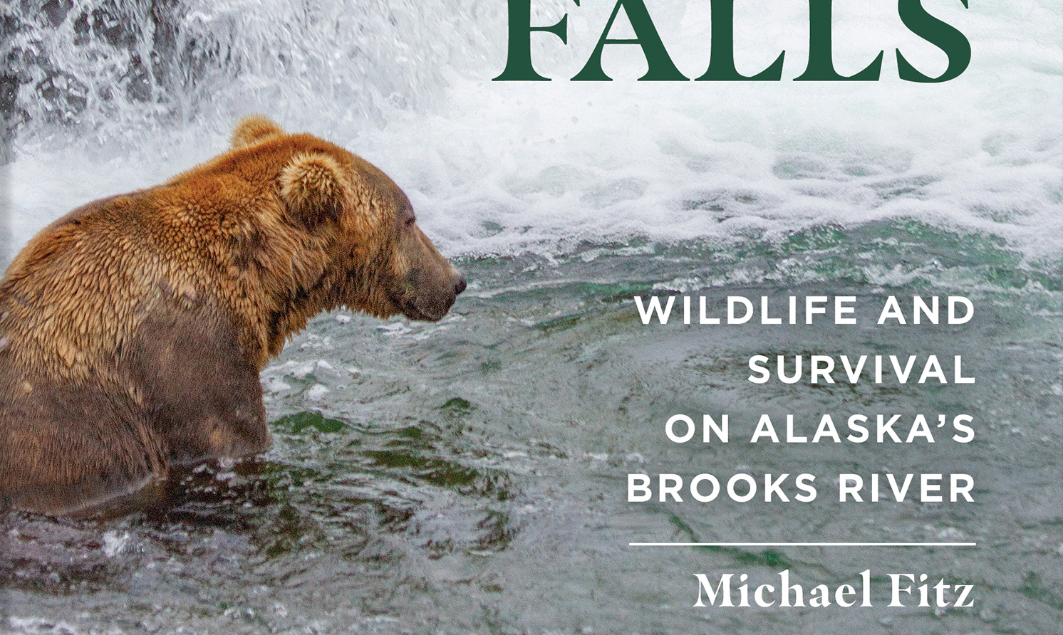 screen shot of corner of book cover. Bear sits at lower left at base of waterfall. Text says, "Wildlife and Survival on Alaska's Brooks River | Michael Fitz."